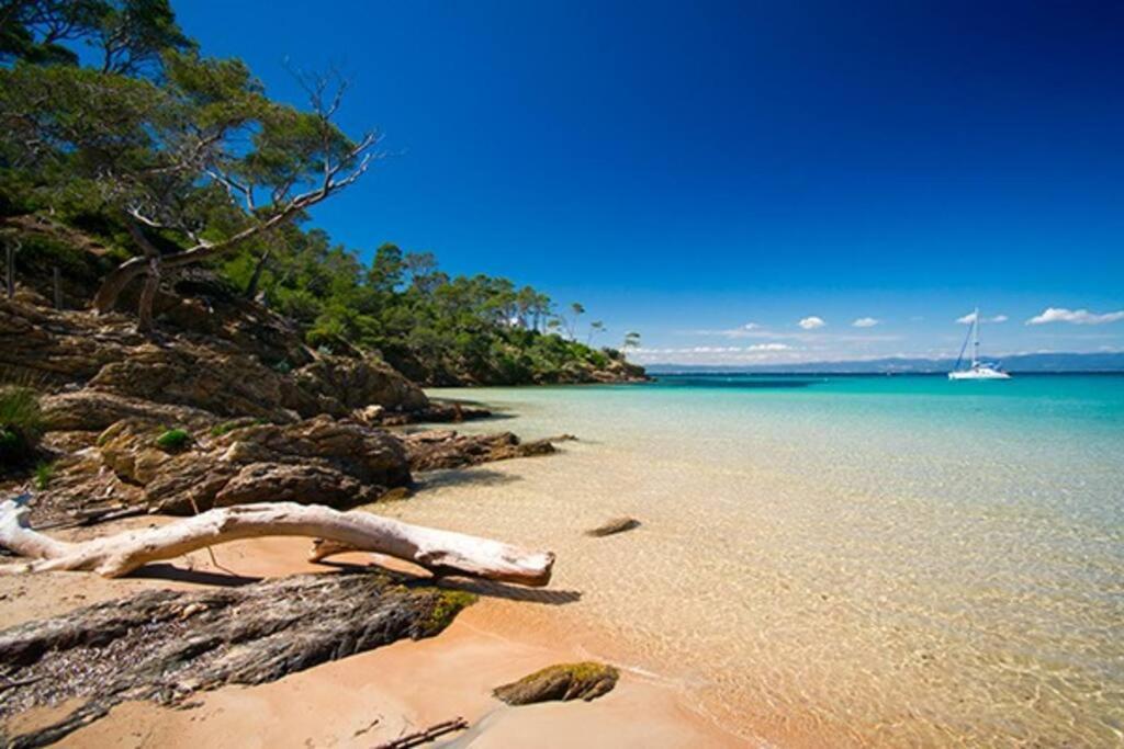 Studio Zen Sud Plage A Pied Pin Rolland Sablettes Saint-Elme Exterior foto