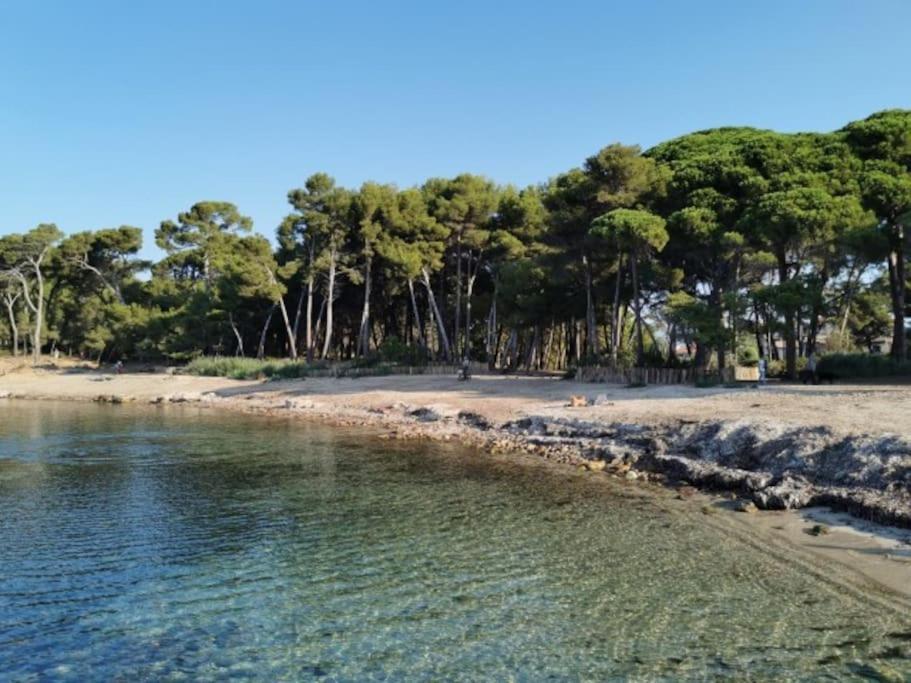 Studio Zen Sud Plage A Pied Pin Rolland Sablettes Saint-Elme Exterior foto